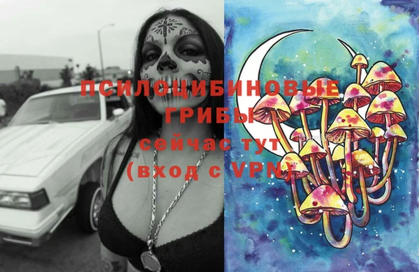 герыч Арсеньев