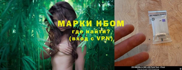 крисы Баксан