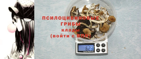 крисы Баксан